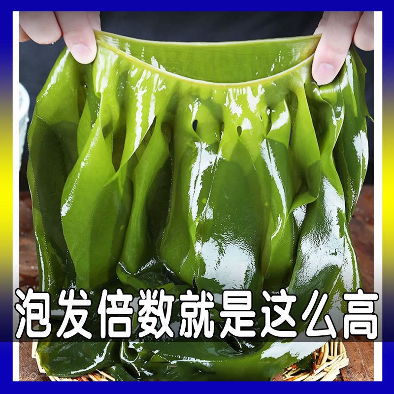 【热销】盐渍裙带菜海白菜海藻海带凉拌菜麻辣烫火锅食材批发包邮