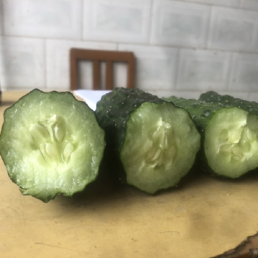 长沙黄瓜  青瓜，靓货多多，够直够青汁多