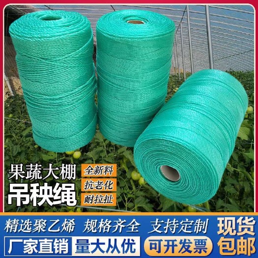 吊秧绳  大棚蔬菜黄瓜吊绳辣椒吊蔓绳西红柿西瓜吊线绑蔓尼龙绳捆绑绳拉绳
