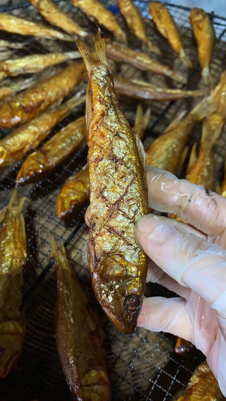 火焙鱼 精品烟熏火焙鱼