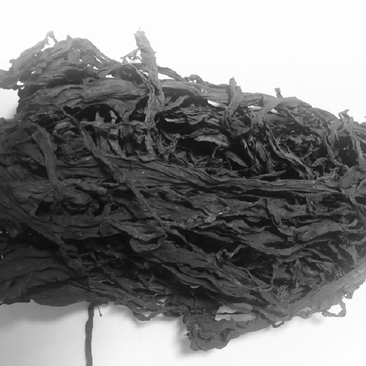 大连干燥大叶裙带菜