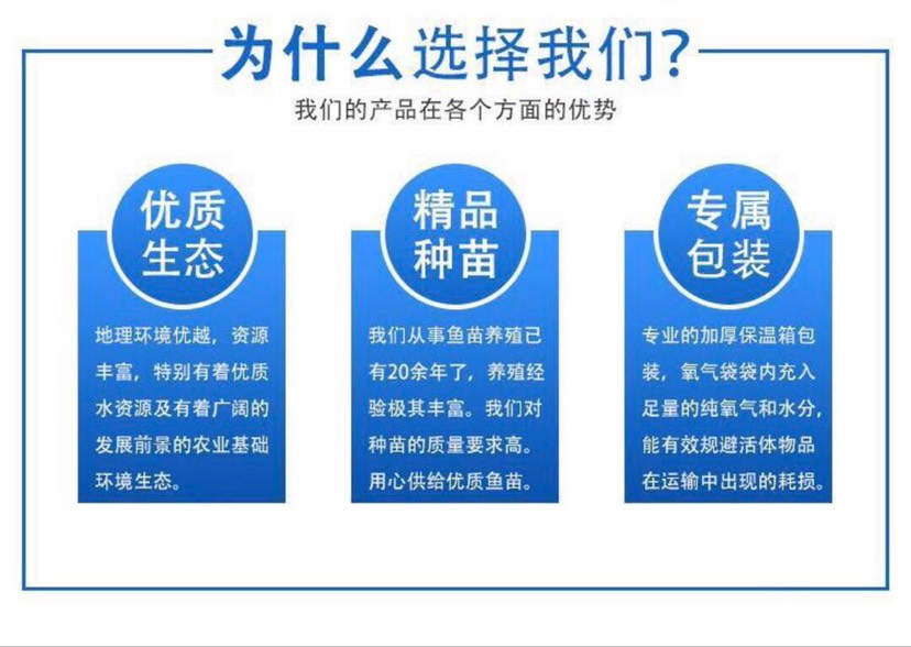  新疆黄骨鱼苗价格全国免费送货实行三包政策包回收包饲料包技术