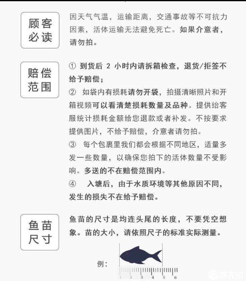  新疆黄骨鱼苗价格全国免费送货实行三包政策包回收包饲料包技术