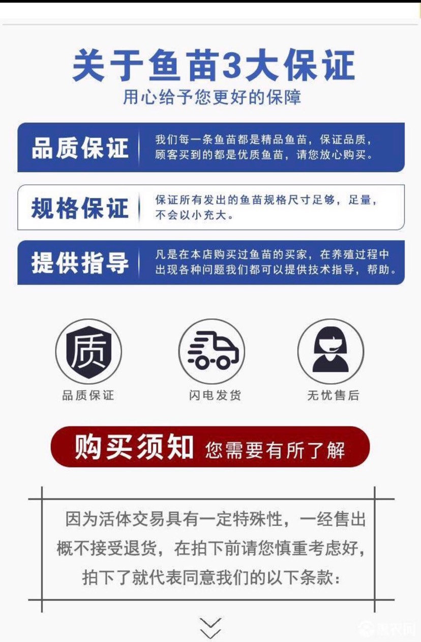  新疆黄骨鱼苗价格全国免费送货实行三包政策包回收包饲料包技术