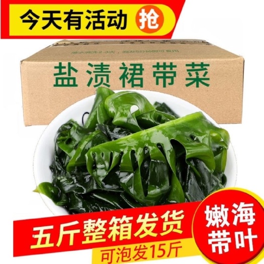 大连【热销】盐渍裙带菜海白菜海藻海带凉拌菜麻辣烫火锅食材批发包邮