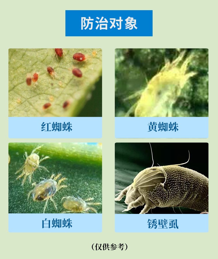 20%哒螨灵红蜘蛛杀虫剂杀螨剂柑橘果树农药