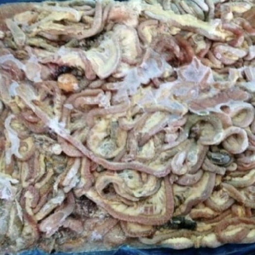 鸡副产品  新鲜冻鸡肠