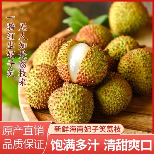 海口海南妃子笑荔枝现摘现发空运包邮