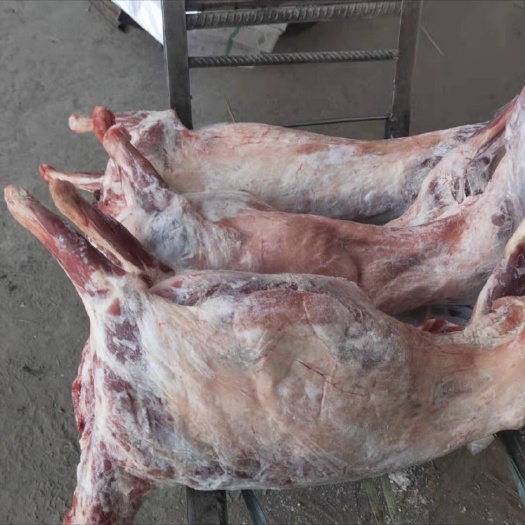包头羊肉 生肉 