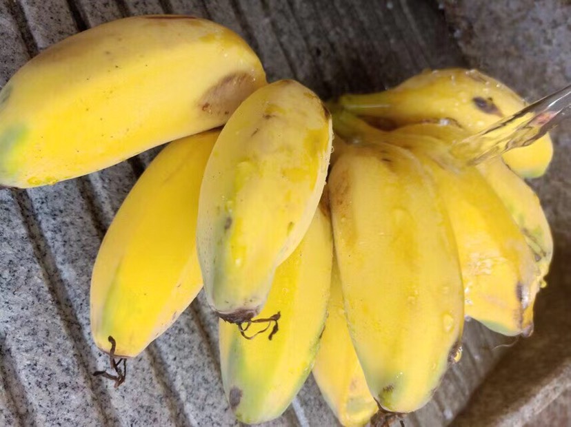广西苹果蕉粉蕉贡蕉甜香蕉应季水果包邮坏果包赔净重5斤3斤9斤