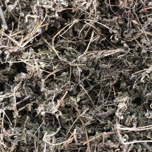 玉林 溪黄茶