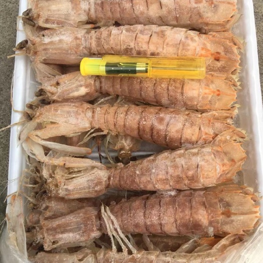 北海广西北海皮皮虾熟冻