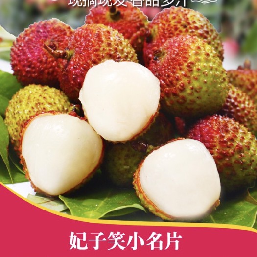 高州市 （荔枝）妃子笑大量上市，顺丰冷链  妃子笑荔枝 现摘新鲜