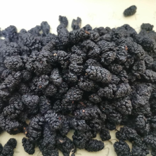 成都黑桑葚  农村自家种植干桑葚