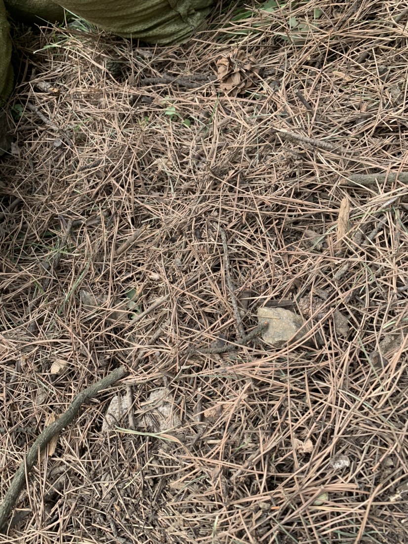 栽培基质  松针腐殖土