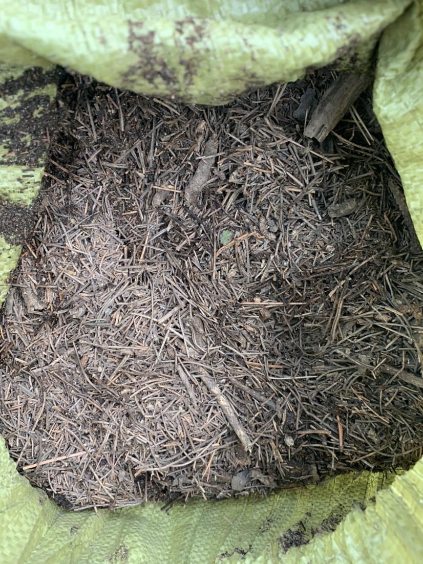 栽培基质  松针腐殖土