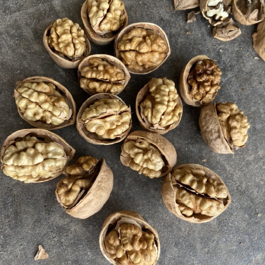 泰安 新疆185纸皮核桃