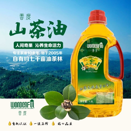 东源县云度山茶油 茶籽油 高山山茶油 物理低温冷榨