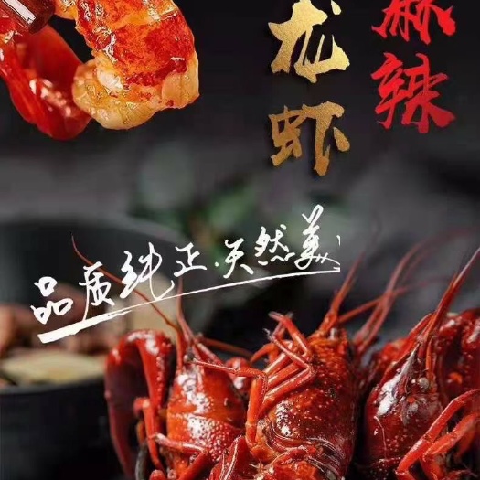 香辣虾  冷冻调味小龙虾4-6钱的活虾烧制十三香口味洪，湖诱惑加热即食