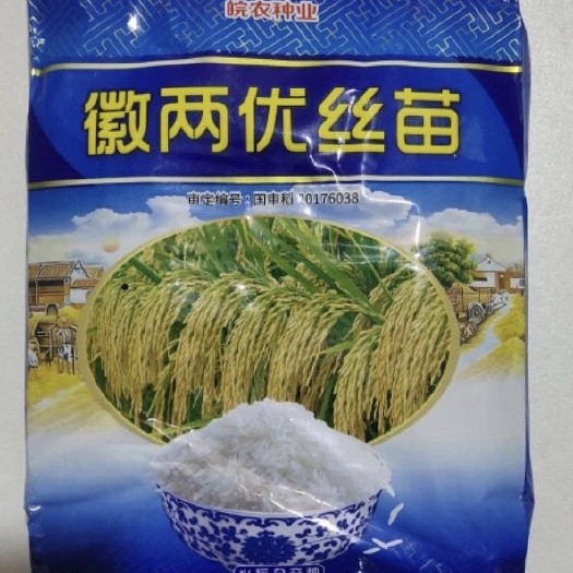 徽两优丝苗水稻种子  优质水稻种子 丝苗米 高抗倒稻种
