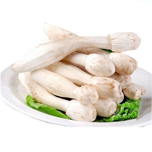 郑州新鲜鸡腿菇可批发现采现发