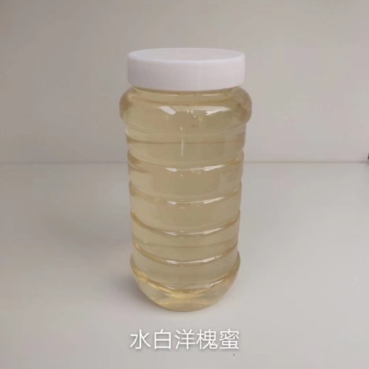 长葛市槐花蜜 水白色洋槐蜜41度以上原蜜