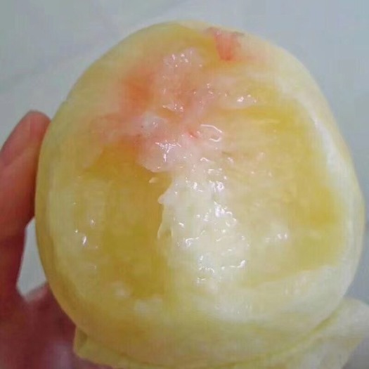 宁波 奉化水蜜桃