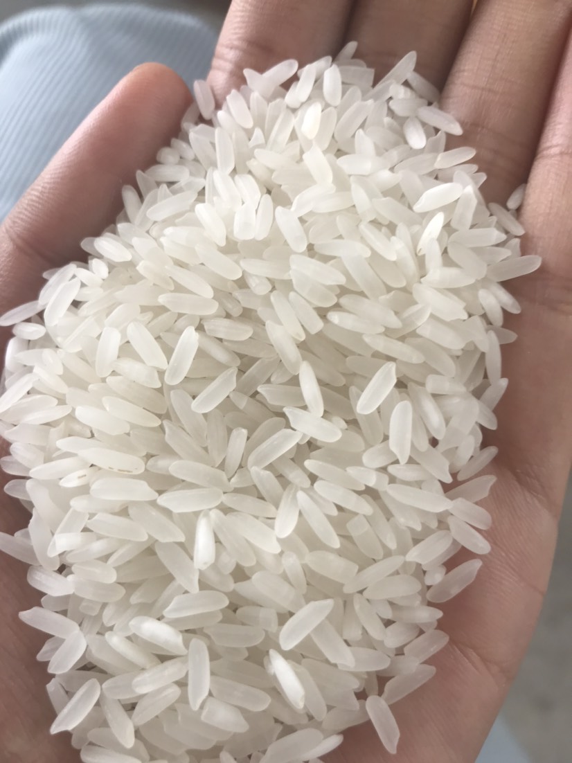 籼米 缅甸青东新米到货