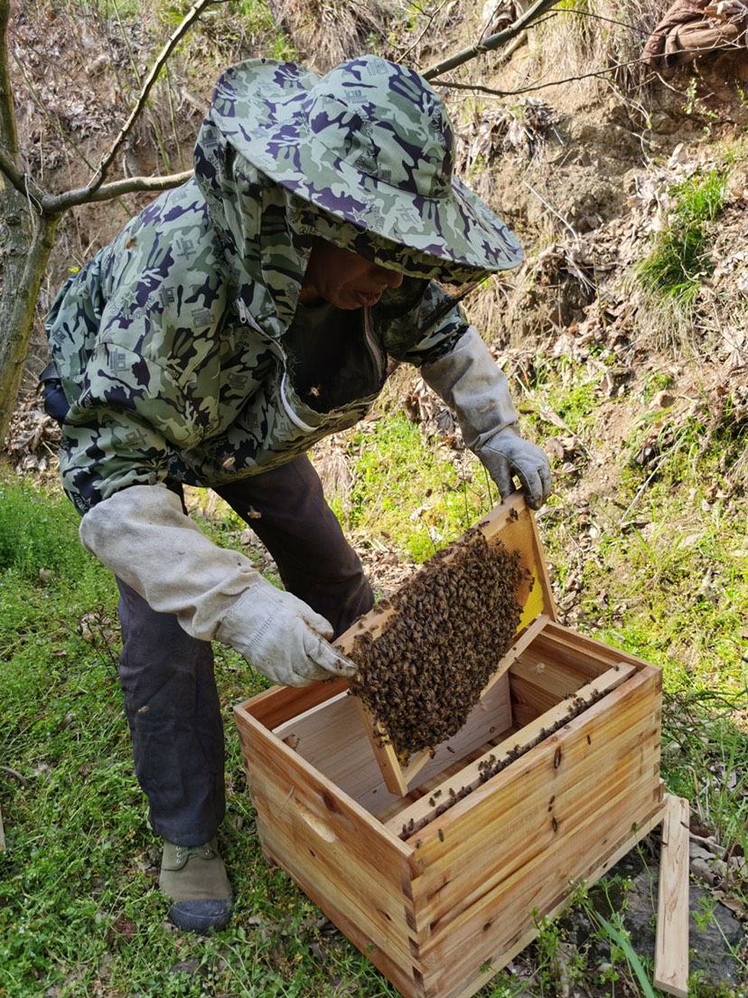 纯正深山野蜂蜜！天然纯正！，味道吃过一次就忘不了