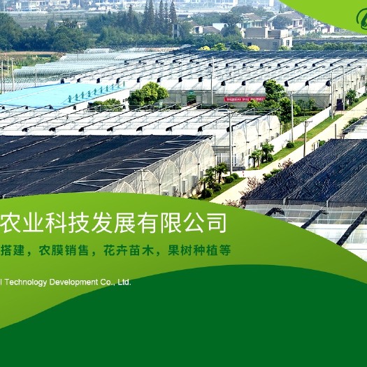 常熟市种植大棚  专业级温室大棚设计制造，一站式服务，国家5A级温室大棚生产厂