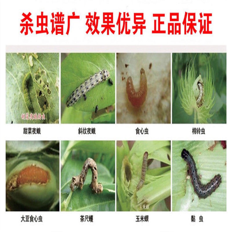 唯尊20亿棉玲虫核型多角体病毒棉玲虫甜菜夜蛾蔬菜果树杀虫剂