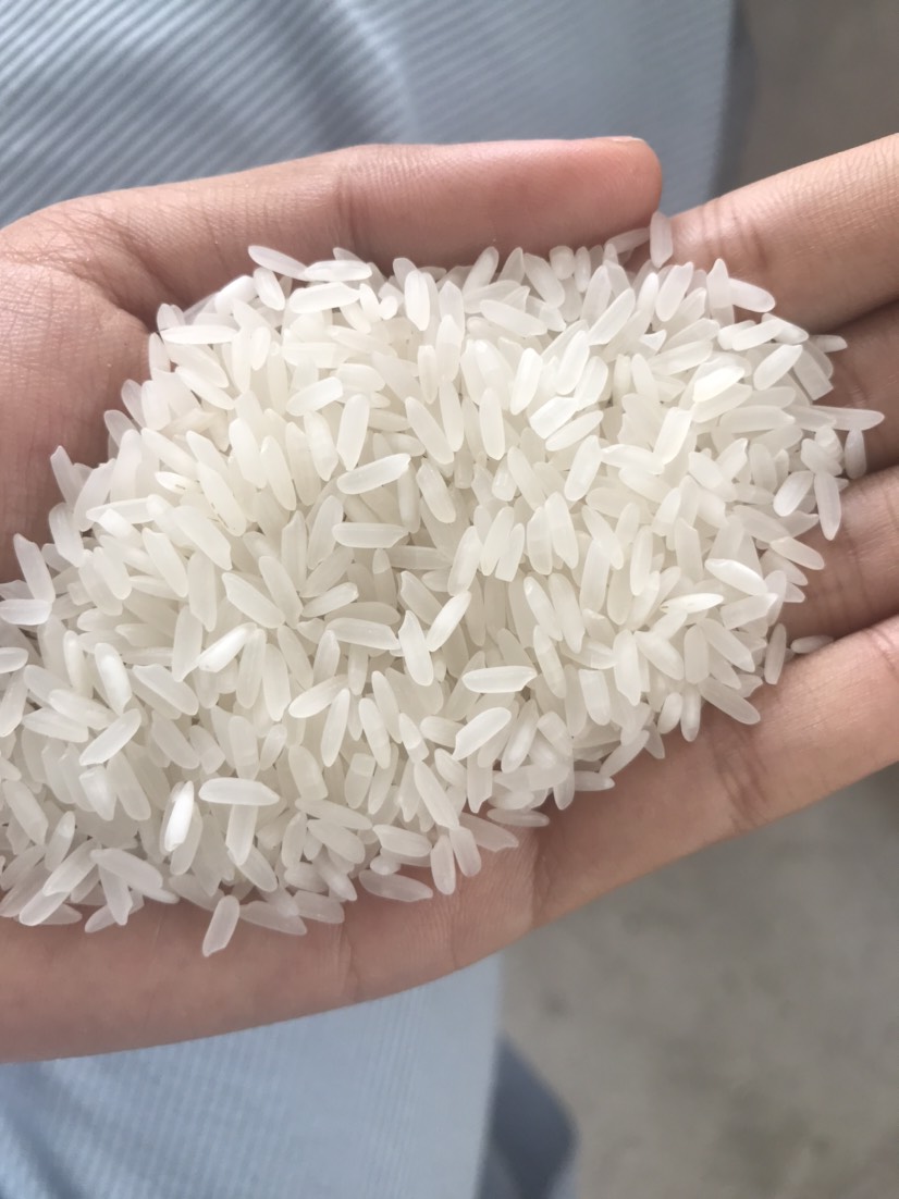 籼米 缅甸青东新米到货