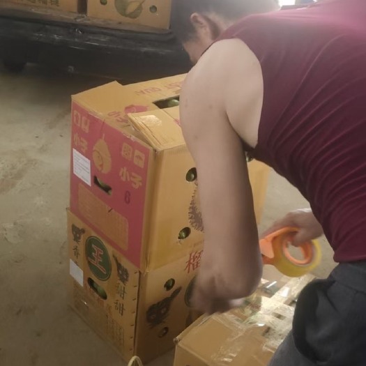 阳江香水柠檬  5月15号摘2000斤有老板一次姓要的优先