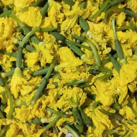 广州黄瓜花  新鲜青瓜花