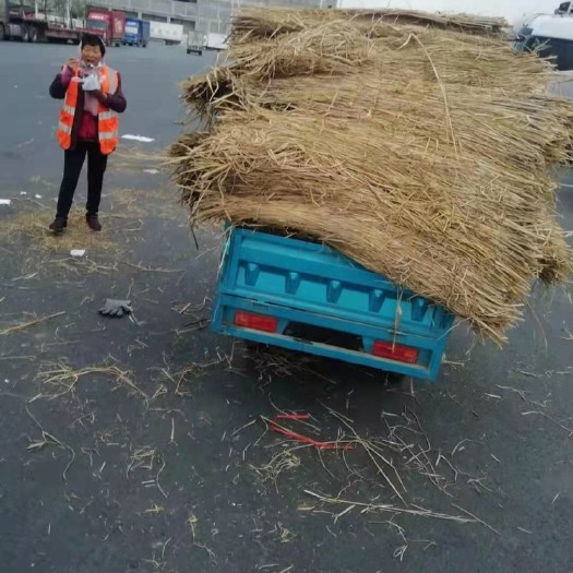 南京 稻草 草帘