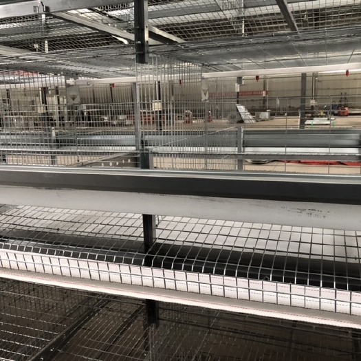 西平县料塔 畜牧养殖设备，全自动化养殖设备