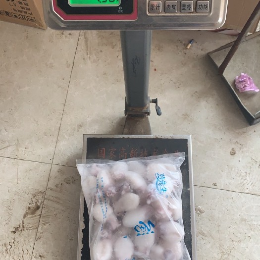 墨鱼仔，单冻墨鱼仔，质量好