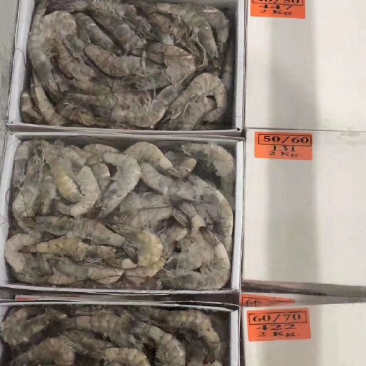 南美白对虾  南美白大虾，盐冻虾，各种规格