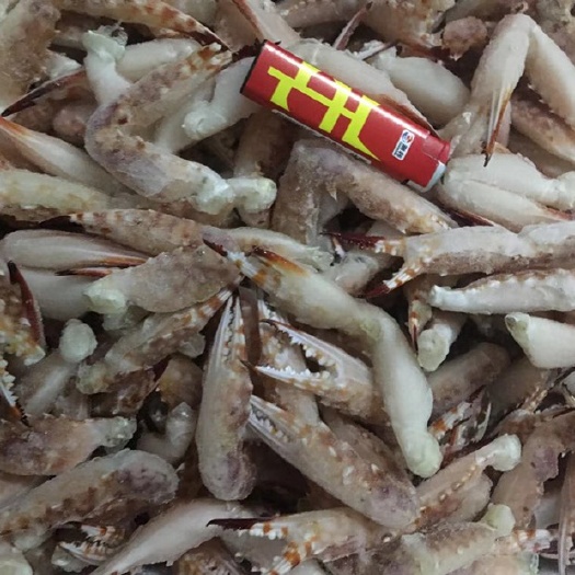 北海 黄金蟹钳