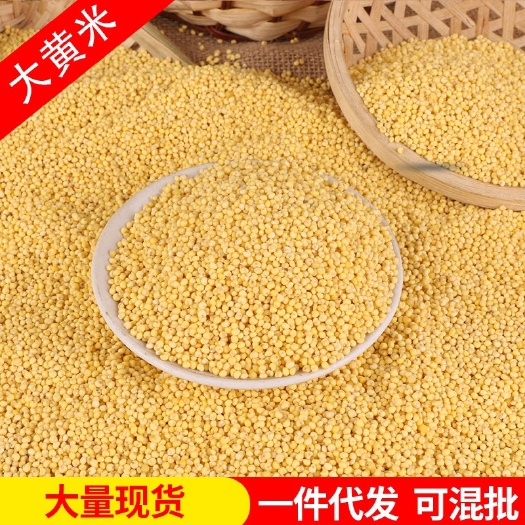 临沂批发大黄米 新货农家粘黄糯米黏糯米月子米糯小米谷子米五谷杂粮