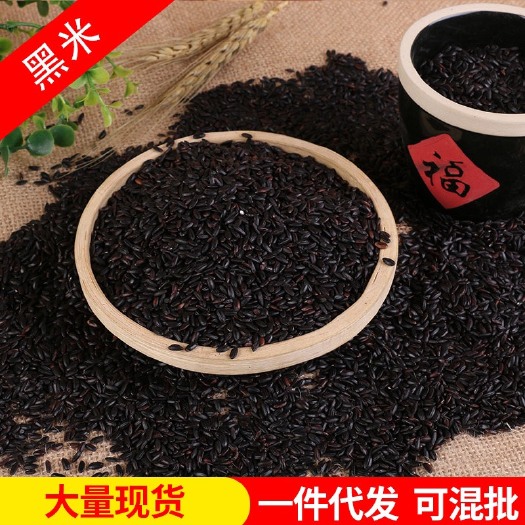 临沂批发黑米 农家新货黑米杂粮黑香米黑大米无染色黑米五谷杂粮