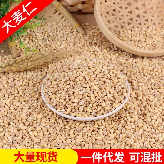临沂大量批发大麦仁 去壳农家去皮麦仁大麦米熬粥粗粮五谷杂粮大麦