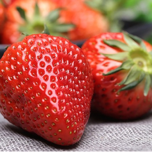 会泽县云南夏季商用草莓，蛋糕烘培，糖葫芦，奶茶饮品，蒙特瑞草莓