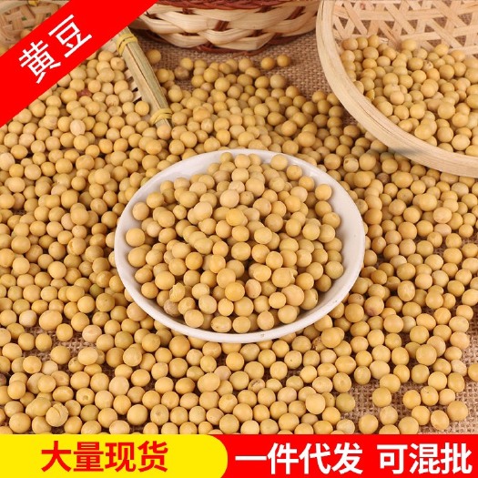 临沂批发东北大豆 农家大颗粒黄豆 磨豆浆原料五谷杂粮豆类粗粮袋装