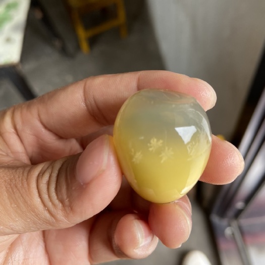 广元鹌鹑皮蛋
