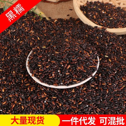 临沂供应批发黑糯米 农家东北血糯米紫糯米 五谷杂粮粗粮黑糯米