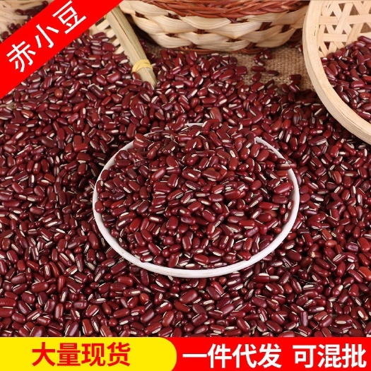 临沂批发赤小豆 农家长粒赤小豆红饭豆非红小豆类粗粮 五谷杂粮红赤