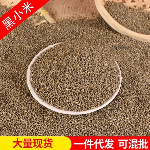临沂黑小米批发 农家黑小米新货 五谷杂粮小米子月子米煮粥粗粮