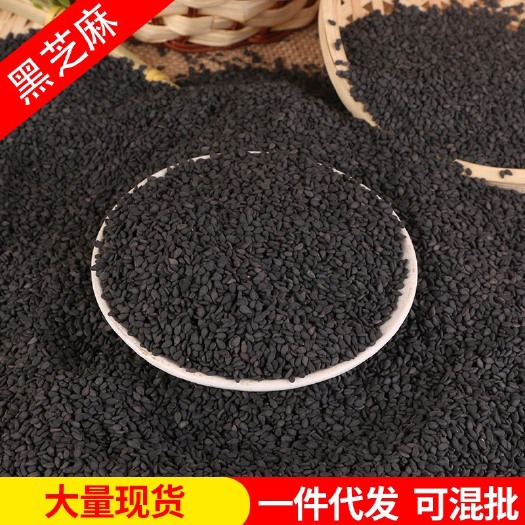批发黑芝麻农家自种生黑芝麻现货袋装可榨油磨粉黑芝麻五谷杂粮