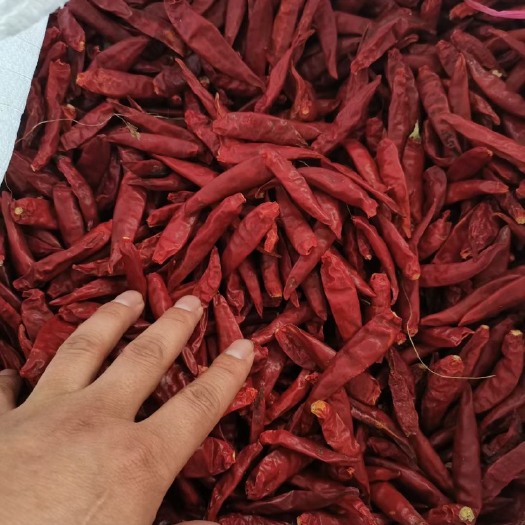 三樱干辣椒  干辣椒，辣椒段，产地直发，欢迎餐饮酒店咨询，九成干以上